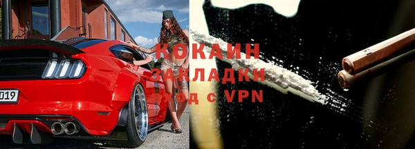 шишки Фёдоровский