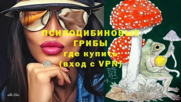 тгк Кущёвская