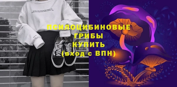 мдпв Иноземцево