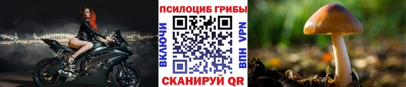 Галлюциногенные грибы MAGIC MUSHROOMS  Купить закладки  Озёрск 